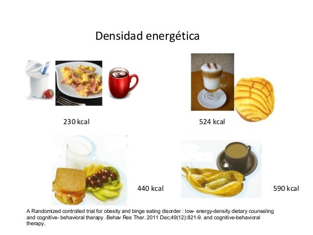 El tratamiento nutricio del paciente con síndrome metabólico El tratamiento nutricio del paciente con síndrome metabólico