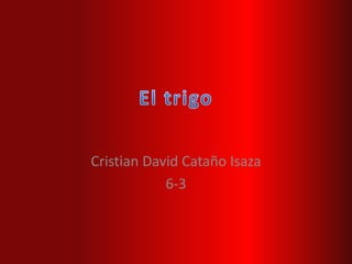 Cristian David Cataño Isaza
6-3
 