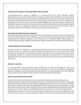 Acción de los ácidos y el alcohol etílico sobre la masa
La elasticidad de la masa es debida a un componente de la harina llamado glúten.
Recordemos que durante el repuntado, la masa se vuelve menos flexible y toma tenacidad.
Durante este tiempo la levadura produce sobretodo alcohol y un poco de gas carbónico, el
alcohol va acompañado de ácidos, los cuales se fijan en el glúten y le dan tenacidad. Esta
tenacidad tiene como consecuencia la impermeabilización y aprieto del gas carbónico (si
mordemos un limón sentiremoscomolos músculos de la mandíbula se contraenbajoel efecto
del ácido cítrico). La segunda etapa de la fermentación es la toma de volumen, que se
produce bajo la acción del gas carbónico producido por la levadura.
¿Por qué esta rápida toma de volumen?
Durante la segunda parte de la fermentación, los papeles son inversos, la levadura produce
menos alcohol, pero más gas carbónico que se encuentra aprisionado bajo la forma de
burbujas por las fibrillas de glúten que constituyen un verdadero tejido impermeable. La
capacidad que posee el glúten para retener el gas carbónico se llama retención gaseosa.
La fermentación en el horneado
Durante la cocción, el glúten se coagula bajo el efecto del calor a la vez que los gránulos de
almidón forman un engrudo. El gas carbónico producido por la acción de la levadura
permanece "atrapado" en el interior de la masa y forma los futuros alveolos de la miga. Así se
comprende porque el volumen final del pan depende sobretodo de la conducta de la
fermentación. Es la etapa final de crecimiento antes del horneo, dura aproximadamente 40 a
60 minutos.
Horneo o cocción:
La cocción tiene como principal papel transformar la masa fermentada en pan, esta
transformación es necesaria ya que nuestro organismo no tiene la posibilidad de digerir el
glúteny el almidón, sino han sidococidosanteriormente.Ensegundolugar,la cocciónpermite
el paso del estado semilíquido del producto (masa) al estado sólido (pan).
¿Qué ocurre durante la cocción?
Durante la cocción se producen muchas transformaciones en el interior de la masa.
Después de que la masa es introducida en el horno, se adhiere al suelo del mismo, esta parte
directamente en contacto con un material caliente se seca y forma una corteza. En el interior
de la masa, todos los procesos de degradación de los azúcares se envuelven bajo la acción
del calor, la levadura se nutre y produce CO2 en gran cantidad hasta la temperatura de 55º
en la que se "muere" (algunos profesionales llaman a esta fase "la tercera fermentación").
Rápidamente la pasta se hincha y el gas carbónico presiona sobre los cortes de lámina que
se abren. Poco a poco, el vapor de agua no llega a humedecer la superficie de la masa que
 