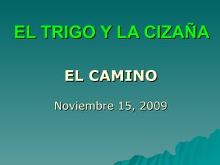 EL TRIGO Y LA CIZAÑA EL CAMINO Noviembre 15, 2009 