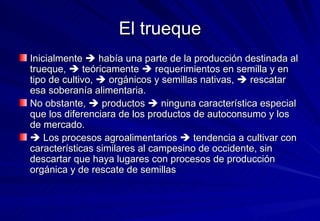 El trueque Inicialmente    había una parte de la producción destinada al trueque,    teóricamente    requerimientos en semilla y en tipo de cultivo,    orgánicos y semillas nativas,    rescatar esa soberanía alimentaria.  No obstante,    productos    ninguna característica especial que los diferenciara de los productos de autoconsumo y los de mercado.     Los procesos agroalimentarios    tendencia a cultivar con características similares al campesino de occidente, sin descartar que haya lugares con procesos de producción orgánica y de rescate de semillas 
