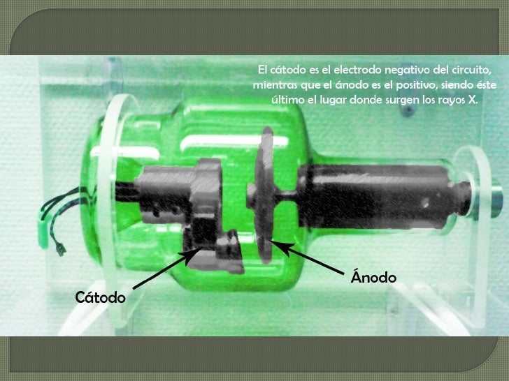  También la estructura externa está compuesta por la ampolla o envoltura de cristal, cuyo material puede...