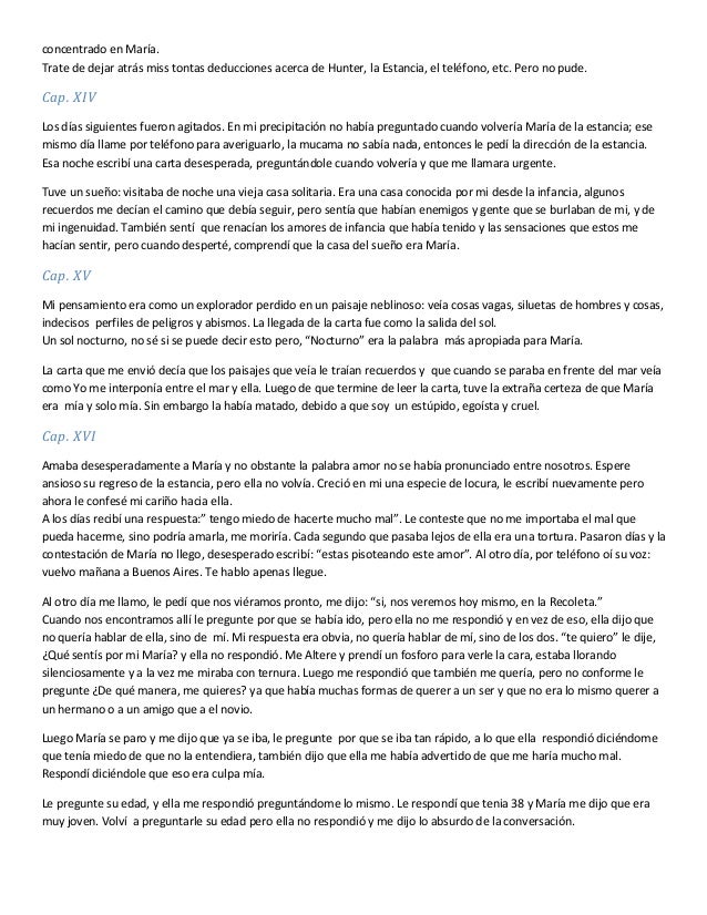 El tunel - Resumen por Cap.