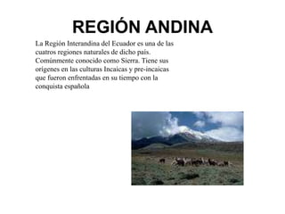 REGIÓN ANDINA
La Región Interandina del Ecuador es una de las
cuatros regiones naturales de dicho país.
Comúnmente conocido como Sierra. Tiene sus
orígenes en las culturas Incaicas y pre-incaicas
que fueron enfrentadas en su tiempo con la
conquista española
 