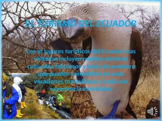 EL TURISMO DEL ECUADOR
Los 10 lugares turísticos del Ecuador mas
visitadas incluyen muchos destinos
culturales fabulosos y tours de aventura
que pueden convertirse en unas
vacaciones maravillosas y toda una
experiencia inolvidable
 