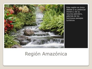 Región AmazónicaEsta región es única debido a su potencial minero y de su recurso petrolero, además de los hermosos paisajes turísticos