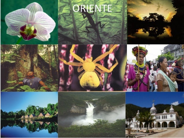 El turismo en el ecuador presentación 2