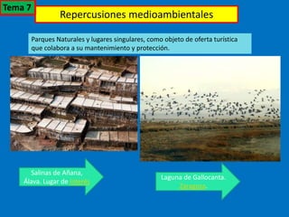 Repercusiones medioambientales
Parques Naturales y lugares singulares, como objeto de oferta turística
que colabora a su mantenimiento y protección.
Salinas de Añana,
Álava. Lugar de interés
Laguna de Gallocanta.
Zaragoza.
Tema 7
 