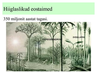Hiiglaslikud eostaimed 3 5 0 miljonit aastat tagasi .   