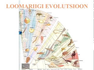 LOOMARIIGI EVOLUTSIOON 