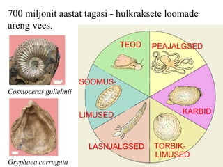700  miljonit aastat tagasi - hulkraksete loomade areng vees.   Cosmoceras gulielmii   Gryphaea corrugata   