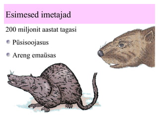 Esimesed imetajad 200 miljonit aastat tagasi Püsisoojasus Areng emaüsas 
