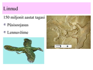 Linnud 150 miljonit aastat tagasi Püsisoojasus Lennuvõime 