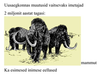 Uusaegkonnas muutusid vaitsevaks imetajad 2 miljonit aastat tagasi: mammut Ka esimesed inimese eellased   