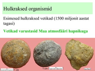 Hulkraksed organismid Esimesed hulkraksed vetikad (1500 miljonit aastat tagasi) Vetikad  varustasid Maa atmosfääri hapnikuga 