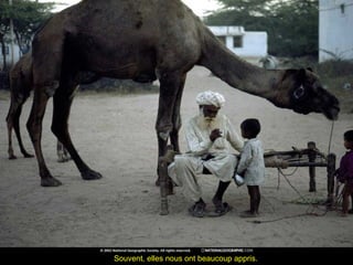 Souvent, elles nous ont beaucoup appris.Souvent, elles nous ont beaucoup appris.
 