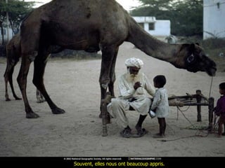 Souvent, elles nous ont beaucoup appris.  