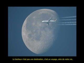 Le bonheur n’est pas une destination, c’est un voyage, celui de notre vie. 