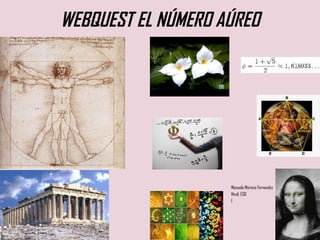 WEBQUEST EL NÚMERO AÚREO ,[object Object],[object Object],[object Object]