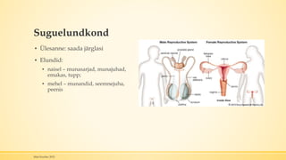 Suguelundkond
▪ Ülesanne: saada järglasi
▪ Elundid:
▪ naisel – munasarjad, munajuhad,
emakas, tupp;
▪ mehel – munandid, seemnejuha,
peenis
Mari Kauber 2015
 