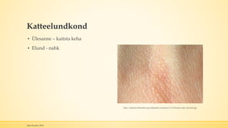 Katteelundkond
▪ Ülesanne – kaitsta keha
▪ Elund - nahk
Mari Kauber 2015
http://upload.wikimedia.org/wikipedia/commons/1/13/Human_skin_structure.jpg
 