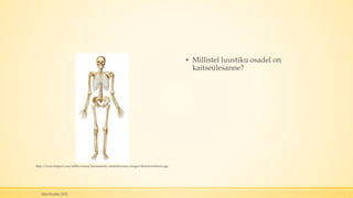 ▪ Millistel luustiku osadel on
kaitseülesanne?
Mari Kauber 2015
http://www.kidport.com/reflib/science/humanbody/skeletalsystem/images/SkeletonAnterior.jpg
 