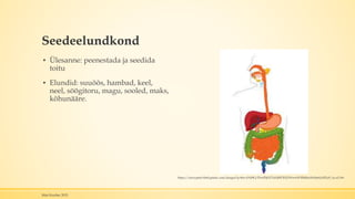 Seedeelundkond
▪ Ülesanne: peenestada ja seedida
toitu
▪ Elundid: suuõõs, hambad, keel,
neel, söögitoru, magu, sooled, maks,
kõhunääre.
Mari Kauber 2015
https://encrypted-tbn0.gstatic.com/images?q=tbn:ANd9GcTFrn55jGO7n5d0POH21WwwWXRthJmX6Np61jAR2z9_1u-eUc9o
 