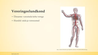 Vereringeelundkond
▪ Ülesanne: varustada keha verega
▪ Elundid: süda ja veresooned
Mari Kauber 2015
http://upload.wikimedia.org/wikipedia/commons/7/74/Grafik_blutkreislauf.jpg
 
