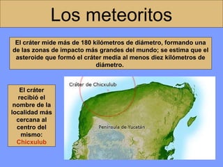 Los meteoritos
El cráter mide más de 180 kilómetros de diámetro, formando una
de las zonas de impacto más grandes del mundo; se estima que el
asteroide que formó el cráter medía al menos diez kilómetros de
diámetro.

El cráter
recibió el
nombre de la
localidad más
cercana al
centro del
mismo:
Chicxulub

Península de Yucatán

 