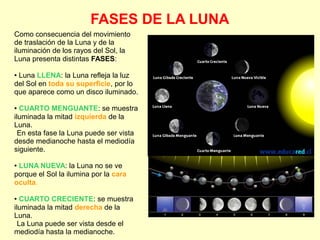 FASES DE LA LUNA
Como consecuencia del movimiento
de traslación de la Luna y de la
iluminación de los rayos del Sol, la
Luna presenta distintas FASES:
● Luna LLENA: la Luna refleja la luz
del Sol en toda su superficie, por lo
que aparece como un disco iluminado.
● CUARTO MENGUANTE: se muestra
iluminada la mitad izquierda de la
Luna.
En esta fase la Luna puede ser vista
desde medianoche hasta el mediodía
siguiente.
● LUNA NUEVA: la Luna no se ve
porque el Sol la ilumina por la cara
oculta.
● CUARTO CRECIENTE: se muestra
iluminada la mitad derecha de la
Luna.
La Luna puede ser vista desde el
mediodía hasta la medianoche.
 