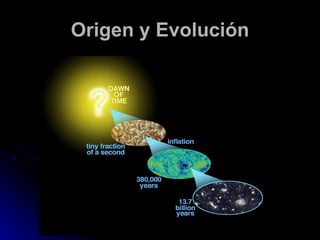 Origen y Evolución 