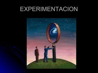 EXPERIMENTACION 