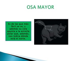 Es de las que más fácil se ve, y además su cola apunta a la estrella polar que, además, nos indica dónde está el norte.