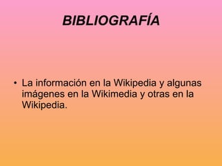 BIBLIOGRAFÍA La información en la Wikipedia y algunas imágenes en la Wikimedia y otras en la Wikipedia. 
