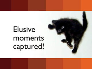Elusive
moments
captured!
 