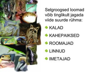 Selgroogsed loomad võib tinglikult jagada viide suurde rühma: KALAD KAHEPAIKSED ROOMAJAD LINNUD IMETAJAD 