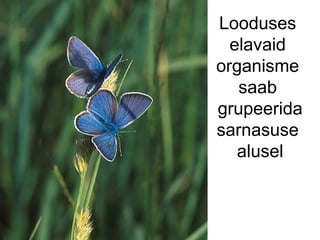 Looduses  elavaid  organisme  saab  grupeerida sarnasuse  alusel 