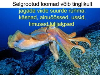 Selgro otud  loomad võib tinglikult  jagada viide suurde rühma:  käsnad, ainuõõssed, ussid, limused,lülijalgsed . 