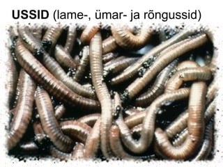 USSID  (lame-, ümar- ja rõngussid) 