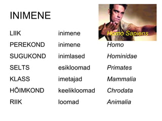 INIMENE LIIK inimene  Homo Sapiens PEREKOND inimene Homo SUGUKOND inimlased Hominidae SELTS esikloomad Primates KLASS imetajad Mammalia HÕIMKOND keelikloomad Chrodata RIIK loomad Animalia 
