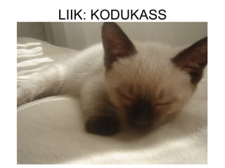 LIIK: KODUKASS 