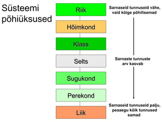 Süsteemi põhiüksused  Sarnaste tunnuste arv kasvab Sarnaseid tunnuseid vähe, vaid kõige põhilisemad   Sarnaseid tunnuseid palju, peaaegu kõik tunnused samad  Riik Hõimkond Klass Sugukond Perekond Liik Selts 