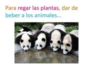 Para regar las plantas, dar de
beber a los animales…
 