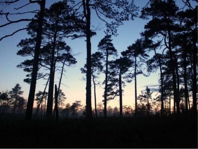 töötukassa