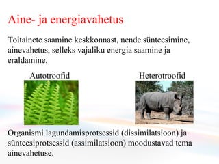 Aine- ja energiavahetus T oitainete saamine keskkonnast, nende sünteesimine, ainevahetus, selleks vajaliku energia saamine ja eraldamine.  Autotroofid  Heterotroofid Organismi lagundamis protsessid  (dissimilatsioon) ja sünteesiprotsessid (assimilatsioon) moodustavad tema ainevahetuse.  