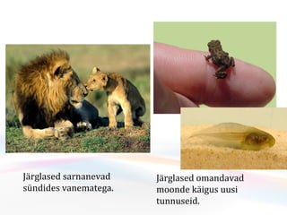 Järglased sarnanevad sündides vanematega. Järglased omandavad moonde käigus uusi tunnuseid. 