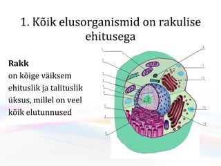 1. Kõik elusorganismid on rakulise ehitusega Rakk  on kõige väiksem  ehituslik ja talituslik  üksus, millel on veel  kõik elutunnused 