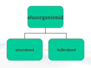 elusorganismid ainuraksed hulkraksed 