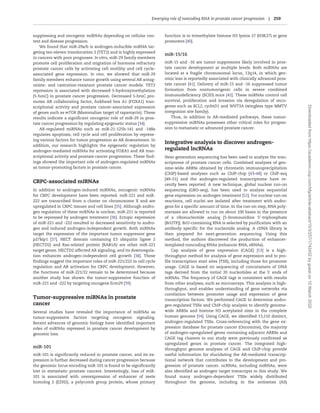 suppressing and oncogenic miRNAs depending on cellular con-
text and disease progression.
We found that miR-29a/b is androgen-inducible miRNA tar-
geting ten-eleven translocation 2 (TET2) and is highly expressed
in cancers with poor prognoses. In vitro, miR-29 family members
promote cell proliferation and migration of hormone refractory
prostate cancer cells by activating cell motility and cell cycle-
associated gene expression. In vivo, we showed that miR-29
family members enhance tumor growth using several AR antag-
onists- and castration-resistant prostate cancer models. TET2
repression is associated with decreased 5-hydroxymethylation
(5-hmC) in prostate cancer progression. Decreased 5-hmC pro-
motes AR collaborating factor, forkhead box A1 (FOXA1) tran-
scriptional activity and prostate cancer-associated expression
of genes such as mTOR (Mammalian target of rapamycin). These
results indicate a significant oncogenic role of miR-29 in pros-
tate cancer progression by regulating epigenetic status [34].
AR-regulated miRNAs such as miR-21-125b-141 and -148a
regulates apoptosis, cell cycle and cell proliferation by repress-
ing various factors for tumor progression as AR downstream. In
addition, our research highlights the epigenetic regulation by
androgen-mediated miRNAs for activating FOXA1 and AR tran-
scriptional activity and prostate cancer progression. These find-
ings showed the important role of androgen-regulated miRNAs
as tumor-promoting factors in prostate cancer.
CRPC-associated mIRNAs
In addition to androgen-induced miRNAs, oncogenic miRNAs
for CRPC development have been reported. miR-221 and miR-
222 are transcribed from a cluster on chromosome X and are
upregulated in CRPC tissues and cell lines [35]. Although andro-
gen regulation of these miRNAs is unclear, miR-221 is reported
to be repressed by androgen treatment [36]. Ectopic expression
of miR-221 and -222 resulted in decreased sensitivity to andro-
gen and induced androgen-independent growth. Both miRNAs
target the expression of the important tumor suppressor gene
p27kip1 [37]. HECT domain containing E3 ubiquitin ligase 2
(HECTD2) and Ras-related protein (RAB1A) are other miR-221
target genes. HECTD2 affected AR signaling, and its downregula-
tion enhances androgen-independent cell growth [38]. These
findings suggest the important roles of miR-221/222 in cell cycle
regulation and AR activation for CRPC development. However,
the functions of miR-221/22 remain to be determined because
another study has shown the tumor-suppressive function of
miR-221 and -222 by targeting oncogene Ecm29 [39].
Tumor-suppressive miRNAs in prostate
cancer
Several studies have revealed the importance of miRNAs as
tumor-suppressive factors targeting oncogenic signaling.
Recent advances of genomic biology have identified important
roles of miRNAs repressed in prostate cancer development by
genomic loss.
miR-101
miR-101 is significantly reduced in prostate cancer, and its ex-
pression is further decreased during cancer progression because
the genomic locus encoding miR-101 is found to be significantly
lost in metastatic prostate cancers. Interestingly, loss of miR-
101 is associated with overexpression of enhancer of zeste
homolog 2 (EZH2), a polycomb group protein, whose primary
function is to trimethylate histone H3 lysine 27 (H3K27) at gene
promoters [40].
miR-15/16
miR-15 and -16 are tumor suppressors likely involved in pros-
tate cancer development at multiple levels. Both miRNAs are
located at a fragile chromosomal locus, 13q14, in which gen-
omic loss is reportedly associated with clinically advanced pros-
tate cancer [41]. Delivery of miR-15 and -16 suppressed tumor
formation from nontumorigenic cells in severe combined
immunodeficiency (SCID) mice [42]. These miRNAs control cell
survival, proliferation and invasion via deregulation of onco-
genes such as BCL2, cyclinD1 and WNT3A (wingless type MMTV
integration site family).
Thus, in addition to AR-mediated pathways, these tumor-
suppressive miRNAs possesses other critical roles for progres-
sion to metastatic or advanced prostate cancer.
Integrative analysis to discover androgen-
regulated lncRNAs
Next-generation sequencing has been used to analyze the tran-
scriptome of prostate cancer cells. Combined analyses of gen-
ome-wide ARBSs obtained by chromatin immunoprecipitation
(ChIP)-based analyses such as ChIP-chip [43–48] or ChIP-seq
[49–51] and the androgen-regulated transcriptome have re-
cently been reported. A new technique, global nuclear run-on
sequencing (GRO-seq), has been used to analyze sequential
gene expression on androgen treatment [52]. For nuclear run-on
reactions, cell nuclei are isolated after treatment with andro-
gens for a specific amount of time. In the run-on step, RNA poly-
merases are allowed to run on about 100 bases in the presence
of a ribonucleotide analog [5-bromouridine 50
-triphosphate
(BrUTP)]. BrU-containing RNA is selected by purification with an
antibody specific for the nucleotide analog. A cDNA library is
then prepared for next-generation sequencing. Using this
method, the authors discovered the production of enhancer-
templated noncoding RNAs (enhancer RNA, eRNAs).
Cap analysis of gene expression (CAGE) [53] is a high-
throughput method for analysis of gene expression and to pro-
file transcription start sites (TSS), including those for promoter
usage. CAGE is based on sequencing of concatamers of DNA
tags derived from the initial 20 nucleotides at the 50
ends of
mRNAs. The frequency of CAGE tags is consistent with results
from other analyses, such as microarrays. This analysis is high-
throughput, and enables understanding of gene networks via
correlation between promoter usage and expression of gene
transcription factors. We performed CAGE to determine andro-
gen-regulated TSSs and ChIP-chip analysis to identify genome-
wide ARBSs and histone H3 acetylated sites in the complete
human genome [54]. Using CAGE, we identified 13,110 distinct,
androgen-regulated TSSs. Cross-referencing with the gene ex-
pression database for prostate cancer (Oncomine), the majority
of androgen-upregulated genes containing adjacent ARBSs and
CAGE tag clusters in our study were previously confirmed as
upregulated genes in prostate cancer. The integrated high-
throughput genome analyses of CAGE and ChIP-chip provide
useful information for elucidating the AR-mediated transcrip-
tional network that contributes to the development and pro-
gression of prostate cancer. ncRNAs, including miRNAs, were
also identified as androgen target transcripts in this study. We
found many androgen-dependent TSSs widely distributed
throughout the genome, including in the antisense (AS)
Emerging role of noncoding RNA in prostate cancer progression | 259
Downloadedfromhttps://academic.oup.com/bfg/article-abstract/15/3/257/1742432bygueston10March2020
 