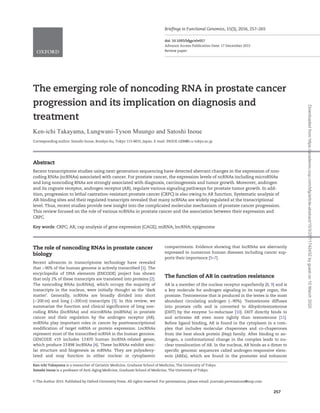 The emerging role of noncoding RNA in prostate cancer
progression and its implication on diagnosis and
treatment
Ken-ichi Takay , MuungoLungwani-Tysonama and Satoshi Inoue
Corresponding author: Satoshi Inoue, Bunkyo-ku, Tokyo 113-8655, Japan. E-mail: INOUE-GER@h.u-tokyo.ac.jp
Abstract
Recent transcriptome studies using next-generation sequencing have detected aberrant changes in the expression of non-
coding RNAs (ncRNAs) associated with cancer. For prostate cancer, the expression levels of ncRNAs including microRNAs
and long noncoding RNAs are strongly associated with diagnosis, carcinogenesis and tumor growth. Moreover, androgen
and its cognate receptor, androgen receptor (AR), regulate various signaling pathways for prostate tumor growth. In add-
ition, progression to lethal castration-resistant prostate cancer (CRPC) is also owing to AR function. Systematic analysis of
AR-binding sites and their regulated transcripts revealed that many ncRNAs are widely regulated at the transcriptional
level. Thus, recent studies provide new insight into the complicated molecular mechanism of prostate cancer progression.
This review focused on the role of various ncRNAs in prostate cancer and the association between their expression and
CRPC.
Key words: CRPC; AR; cap analysis of gene expression (CAGE); miRNA; lncRNA; epigenome
The role of noncoding RNAs in prostate cancer
biology
Recent advances in transcriptome technology have revealed
that >90% of the human genome is actively transcribed [1]. The
encyclopedia of DNA elements (ENCODE) project has shown
that only 2% of these transcripts are translated into proteins [2].
The noncoding RNAs (ncRNAs), which occupy the majority of
transcripts in the nucleus, were initially thought as the ‘dark
matter’. Generally, ncRNAs are broadly divided into short
(<200 nt) and long (>200 nt) transcripts [3]. In this review, we
summarize the function and clinical significance of long non-
coding RNAs (lncRNAs) and microRNAs (miRNAs) in prostate
cancer and their regulation by the androgen receptor (AR).
miRNAs play important roles in cancer by posttranscriptional
modification of target mRNA or protein expression. LncRNAs
represent most of the transcribed ncRNA in the human genome.
GENCODE v19 includes 13 870 human lncRNA-related genes,
which produce 23 898 lncRNAs [4]. These lncRNAs exhibit simi-
lar structure and biogenesis as mRNAs. They are polyadeny-
lated and may function in either nuclear or cytoplasmic
compartments. Evidence showing that lncRNAs are aberrantly
expressed in numerous human diseases including cancer sup-
ports their importance [5–7].
The function of AR in castration resistance
AR is a member of the nuclear receptor superfamily [8, 9] and is
a key molecule for androgen signaling in its target organ, the
prostate. Testosterone that is produced in the testes is the most
abundant circulating androgen (90%). Testosterone diffuses
into prostate cells and is converted to dihydrotestosterone
(DHT) by the enzyme 5a-reductase [10]. DHT directly binds to
and activates AR even more tightly than testosterone [11].
Before ligand binding, AR is found in the cytoplasm in a com-
plex that includes molecular chaperones and co-chaperones
from the heat shock protein (Hsp) family. After binding to an-
drogen, a conformational change in the complex leads to nu-
clear translocation of AR. In the nucleus, AR binds as a dimer to
specific genomic sequences called androgen-responsive elem-
ents (AREs), which are found in the promoter and enhancer
Ken-ichi Takayama is a researcher of Geriatric Medicine, Graduate School of Medicine, The University of Tokyo.
Satoshi Inoue is a professor of Anti-Aging Medicine, Graduate School of Medicine, The University of Tokyo.
VC The Author 2015. Published by Oxford University Press. All rights reserved. For permissions, please email: journals.permissions@oup.com
257
Briefings in Functional Genomics, 15(3), 2016, 257–265
doi: 10.1093/bfgp/elv057
Advance Access Publication Date: 17 December 2015
Review paper
Downloadedfromhttps://academic.oup.com/bfg/article-abstract/15/3/257/1742432bygueston10March2020
 
